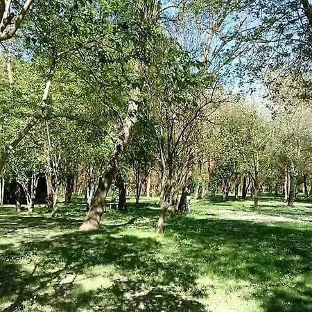 Du Lion Campingplatz