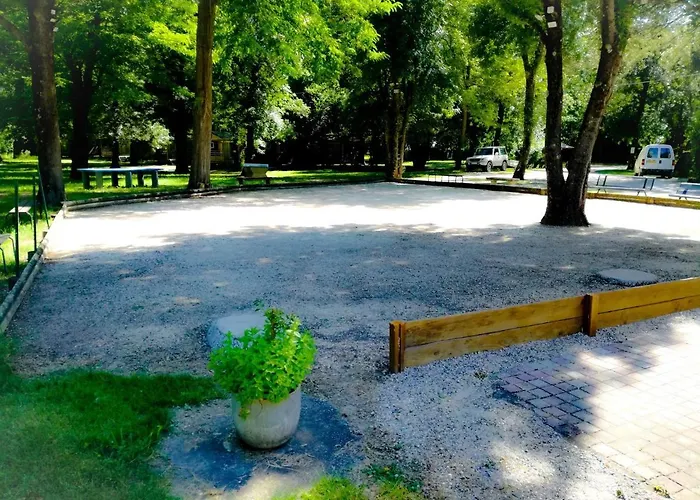 Du Lion 伯格圣安迪欧